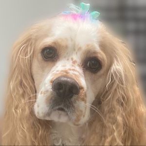 Meet your Posher, Michaela